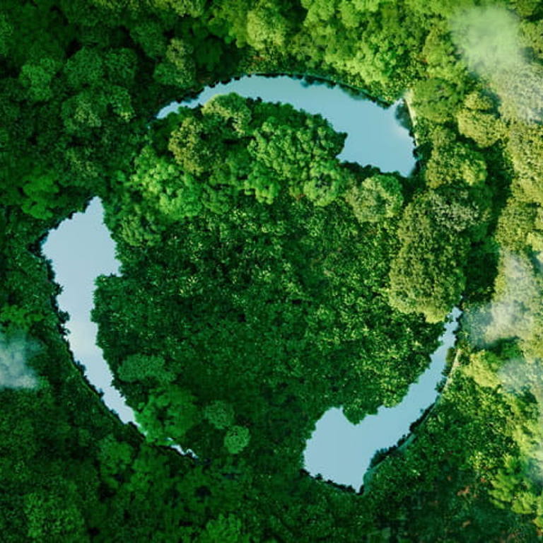 Aerial view of a forest with a lake shaped like a recycling symbol.
