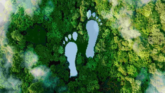 Aerial view of a forest with lakes forming the shape of two footprints.