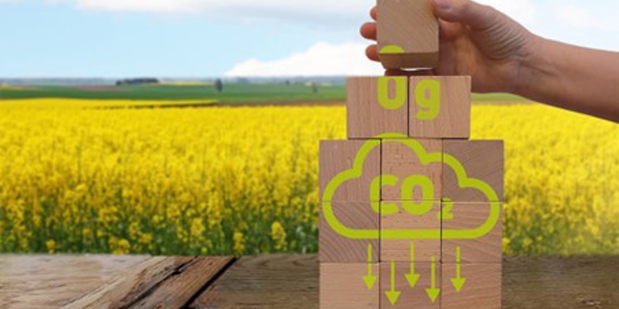 Hand stacking wooden blocks showing a CO₂ reduction icon in front of a yellow field.